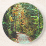 Promenade d'automne dessous de verre