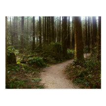Promenade de forêt carte postale