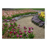 Promenade de tulipe cartes de vœux