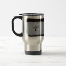 Promenade loin tasse