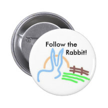 Promotions blanches de lapin pin's