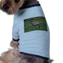 Pronghorn Antelope Dog Tee Shirt