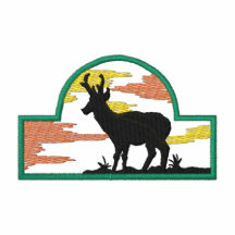 Pronghorn