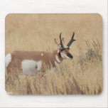 Pronghorn Mousepads
