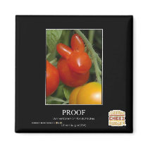 Proof Refrigerator Magnets