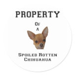 Property of a Spoiled Rotten Chihuahua Round Sticker