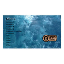 ProSeller Fine Art Business Card 3D