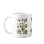 Prosobranchia Mug