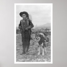Prospector Dog Seward, Alaska 1904 Posters