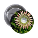 Protea Bloom - Maui Pins