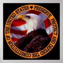 Protect And Defend Posters