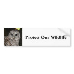 Protect Our Wildlife - Bumper Sticker