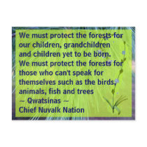 protect the forests postacard post cards