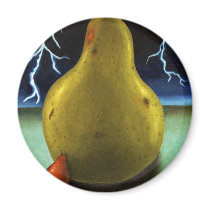 Protecting Baby 9 The Lightening Storm Fridge Magnets