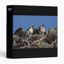 Protective Parents 3 Ring Binder