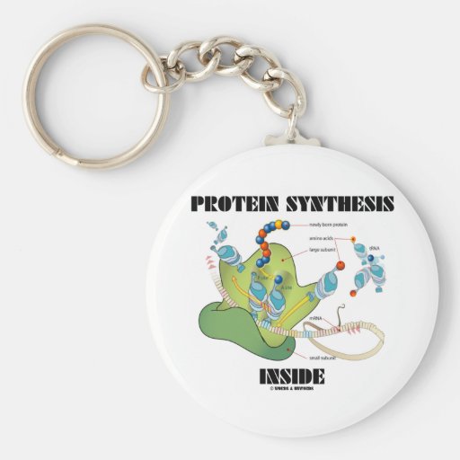 Protein Synthesis Inside (Cell Biology) Keychain