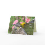 Prothonotary Bath-time Card