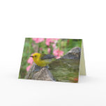 Prothonotary Post Bath Card