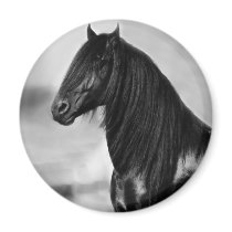 Proud Friesian black stallion horse Magnet