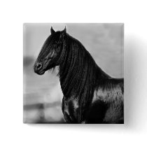 Proud Friesian black stallion horse Pin