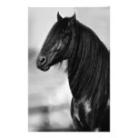 Proud Friesian black stallion horse Customized Stationery