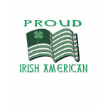 PROUD IRISH AMERICAN  T SHIRT