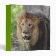 Proud Lion Binder