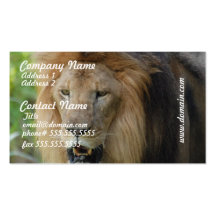 Proud Lion Business Cards