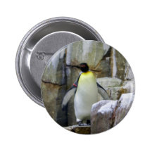 Proud Penguin Pinback Button