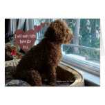 Proud Poodle - Missing You - Card