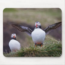 Proud Puffin Mousepad