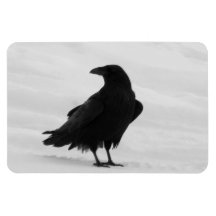 Proud Raven Flexible Magnets