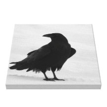 Proud Raven Gallery Wrap Canvas