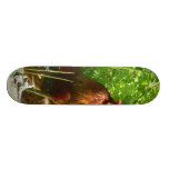Proud Rooster Chicken Bird Custom Skateboard