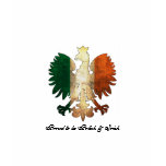 Proud to be Polish & Irish t-shirts