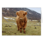Proud to be Scottish! Greeting Cards