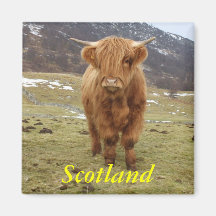 Proud to be Scottish! Magnets