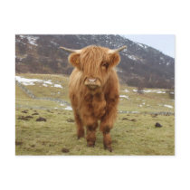 Proud to be Scottish! Postcards