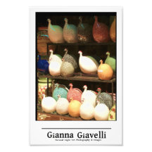 Provence Chickens Photograph