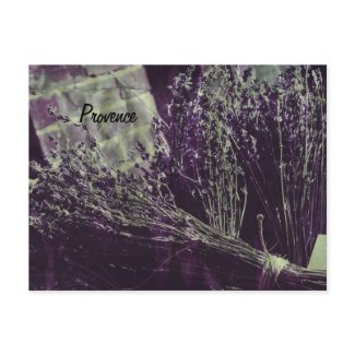 provence lavender postcard postcard