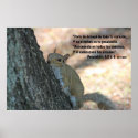 Proverbios 3-5,6 con Ardilla posters