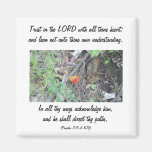 Proverbs 3:5-6 magnet