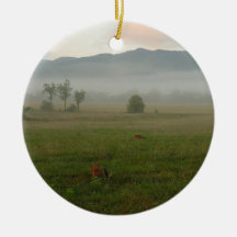 Proverbs 3:5-6 Ornament