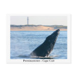 Provincetown - Cape Cod postcard