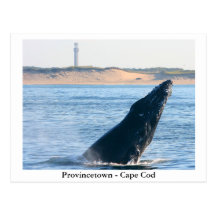 Provincetown - Cape Cod postcard