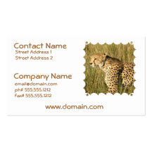 Prowling Cheetah Business Card