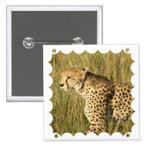 Prowling Cheetah Square Pin