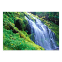 Proxy Falls in the central Oregon Cascades. Photograph