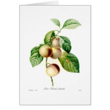 Prune Cartes De Vœux