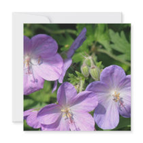 Pruning Geranium Invitation